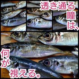 アジ