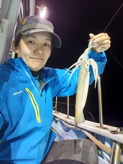 イカの釣果