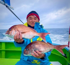 マダイの釣果
