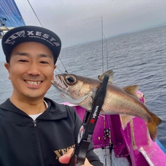 ムツの釣果