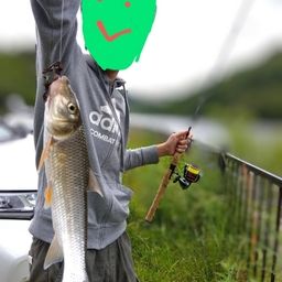 ニゴイ