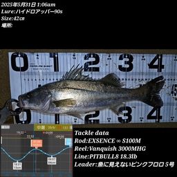 シーバス