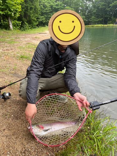 ニジマスの釣果
