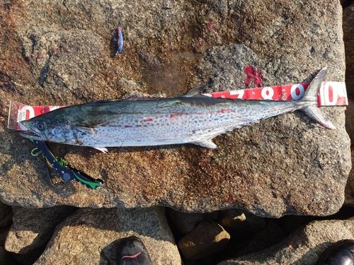 釣果