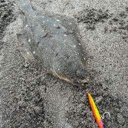 イシモチ