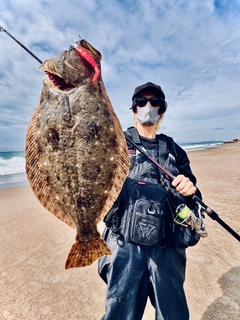 ヒラメの釣果