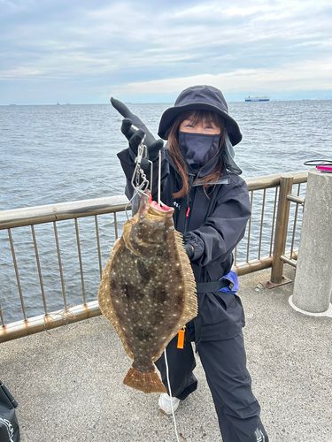 ヒラメの釣果