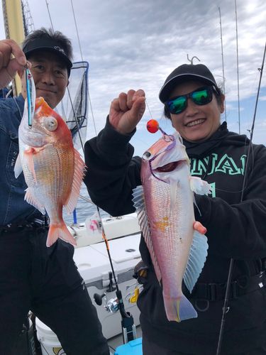 レンコダイの釣果