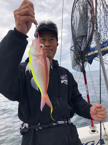イトヨリダイの釣果