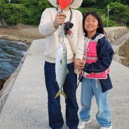 ハマチ