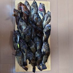 クロメバル