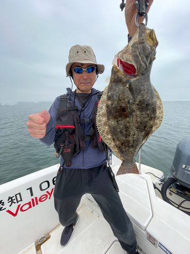 ヒラメの釣果