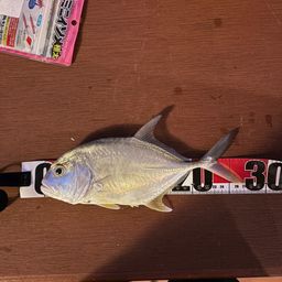 メッキ