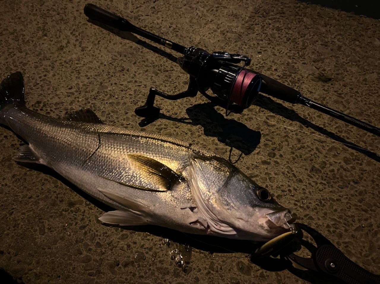 SHIMANO　18エクスセンス　ジェノス S810ML/R まさにプラッギングスペシャル！シマノ '18 エクスセンス