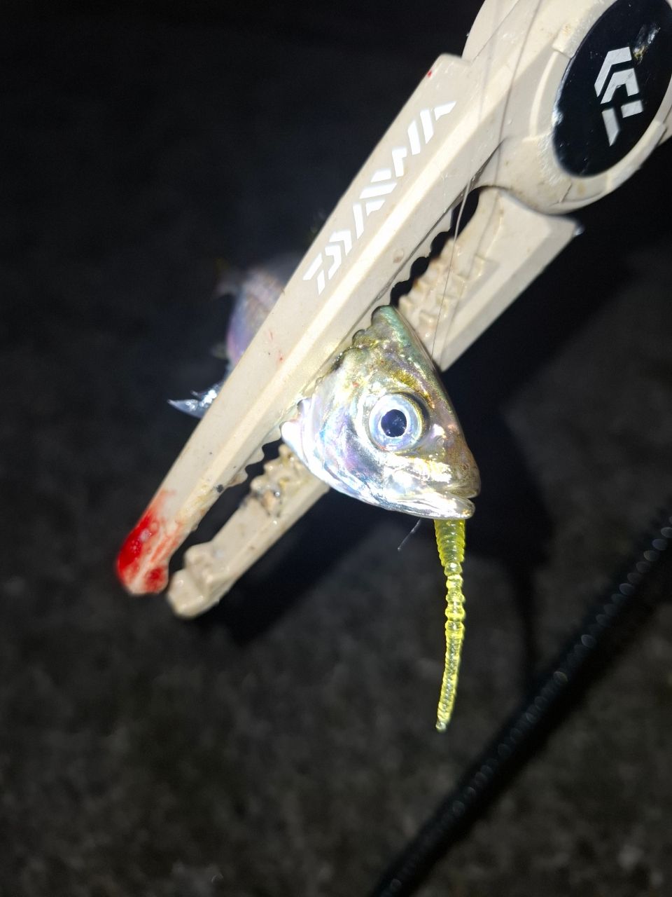 シマノソアレBBアジングS54SUL-S 4969363334732_1.jpg