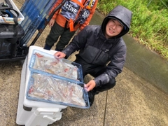 マルイカの釣果
