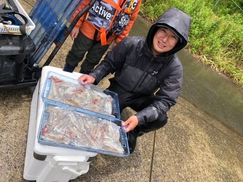 マルイカの釣果