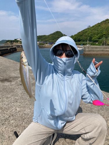 キスの釣果