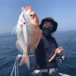 レンコダイ