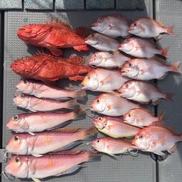 レンコダイ