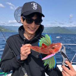 ホウボウ