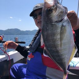 カイワリ