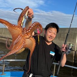マダコ