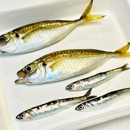 アジ