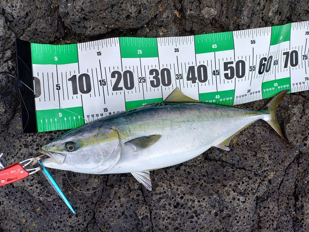 SHIMANO - ヤマガブランクス　ブルースナイパー97MMH レビュー】ヤマガブランクス ブルースナイパー97MMHのインプレ