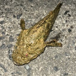 メッキ