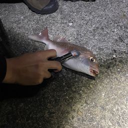 タイ