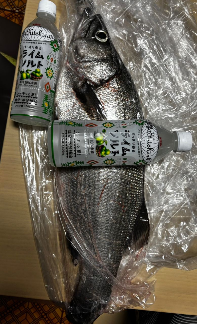 シーバス