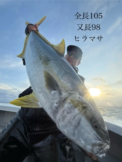 ヒラマサの釣果