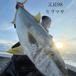 ヒラマサ