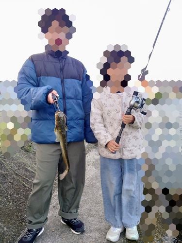 ナマズの釣果