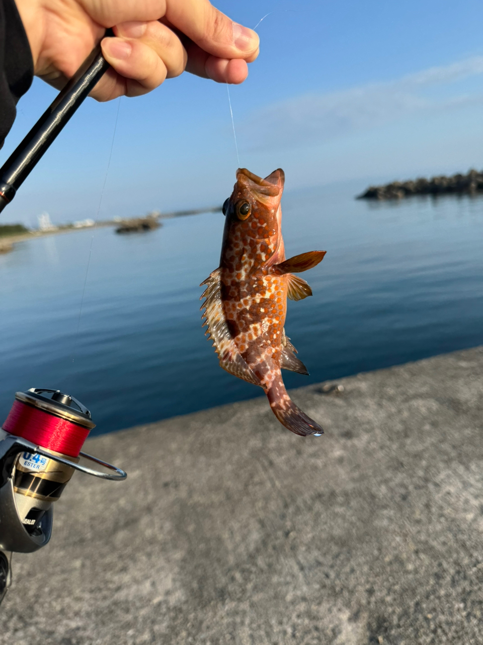 SHIMANO 22ソアレ SS S76L-Sの最安値・インプレ・釣果 | 本音の