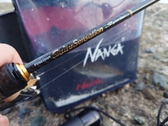 マアジの釣果