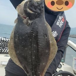 ヒラメ