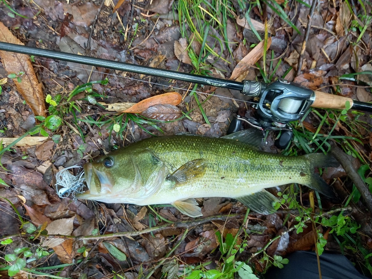 DAIWA 23スティーズ リアルコントロール C70MH-LMの最安値