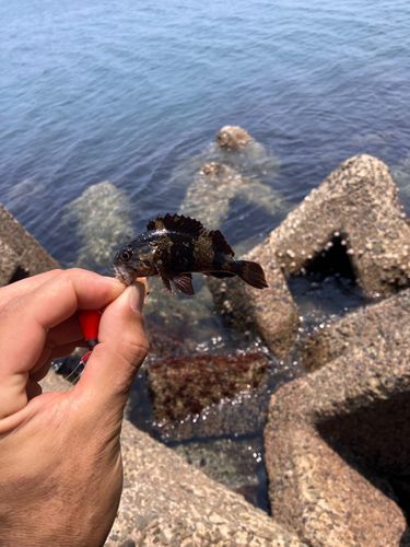 釣果