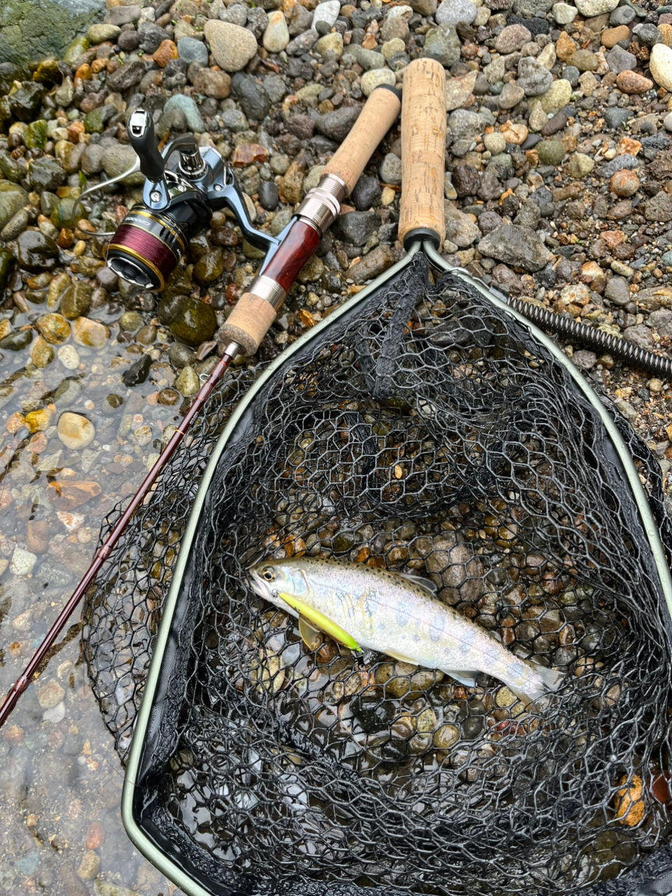 AbuGarcia トラウトフィールド TFS-502ULの最安値・インプレ