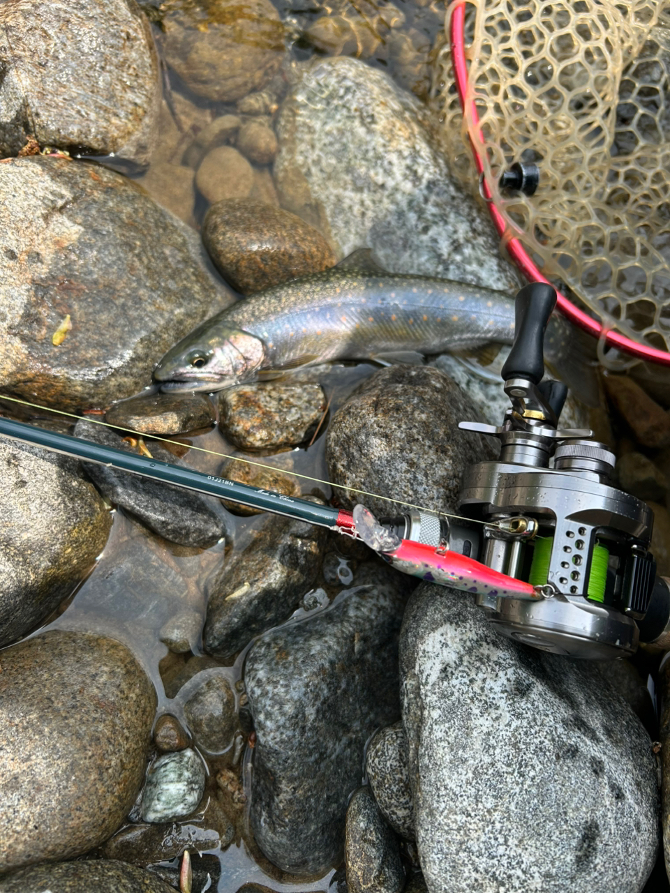 Abu Garcia アブガルシア ズームサファリ ZMSC-565L ルアー