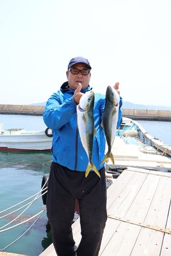 ハマチの釣果