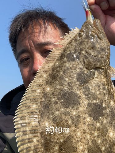 ヒラメの釣果