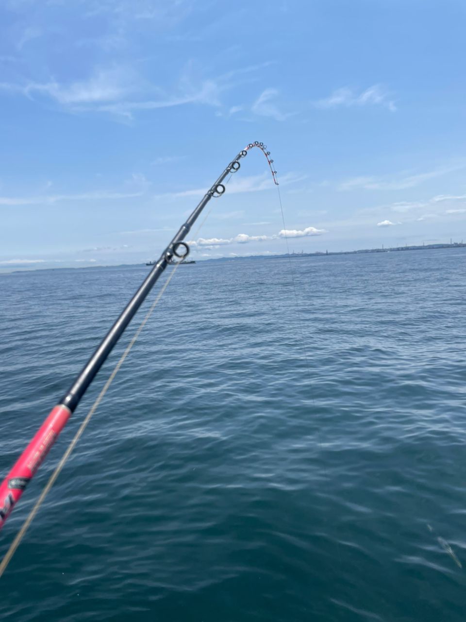 金沢八景のつり吉さんの釣果 2枚目の画像