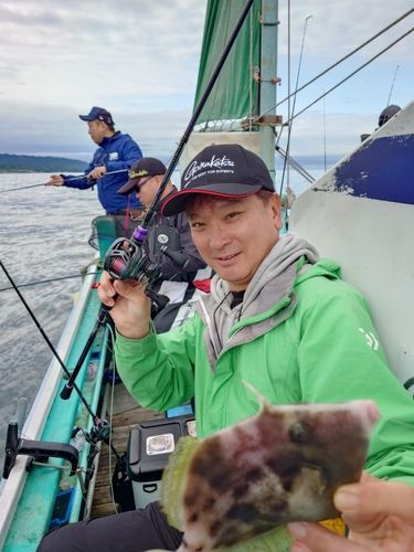 カワハギの釣果