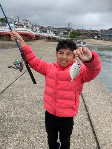 ヒイラギの釣果