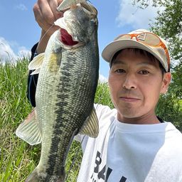 ラージマウスバス