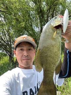 スモールマウスバスの釣果