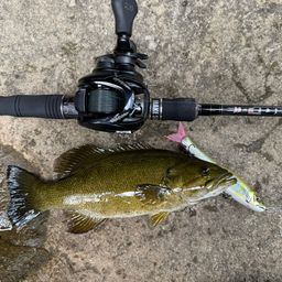 スモールマウスバス